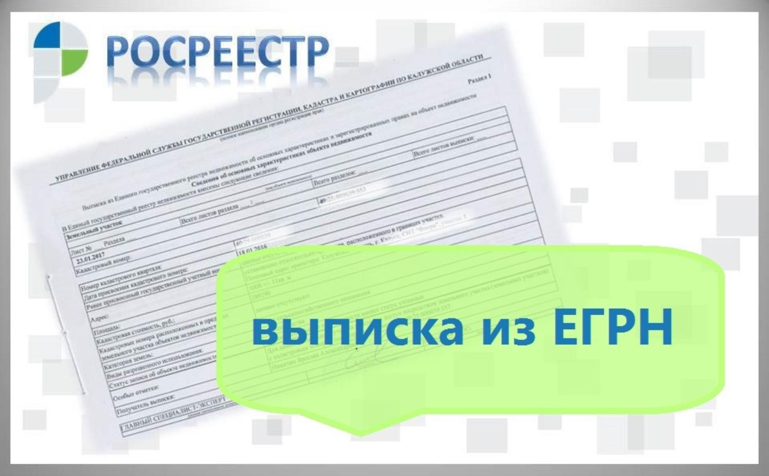 Государственный реестр данных. Сведения из ЕГРН. Единый государственный реестр недвижимости. Предоставление выписки из ЕГРН. Выписка из ЕГРН картинка.