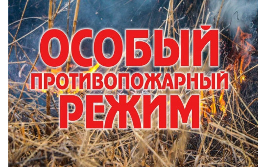 Особый противопожарный режим установлен на территории Новосибирской области с 11 апреля 2025 г